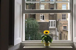 Sash Window Fitters Bradwell UK (01493)