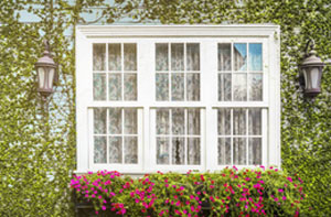 Sash Window Installation Near Colchester Essex